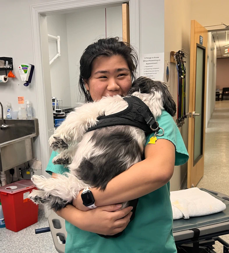 Mobile_Services_Caring_For_Senior_Left A woman in green scrubs smiles while holding a black and white dog wearing a harness. The dog is resting comfortably in her arms inside a veterinary clinic or medical office.