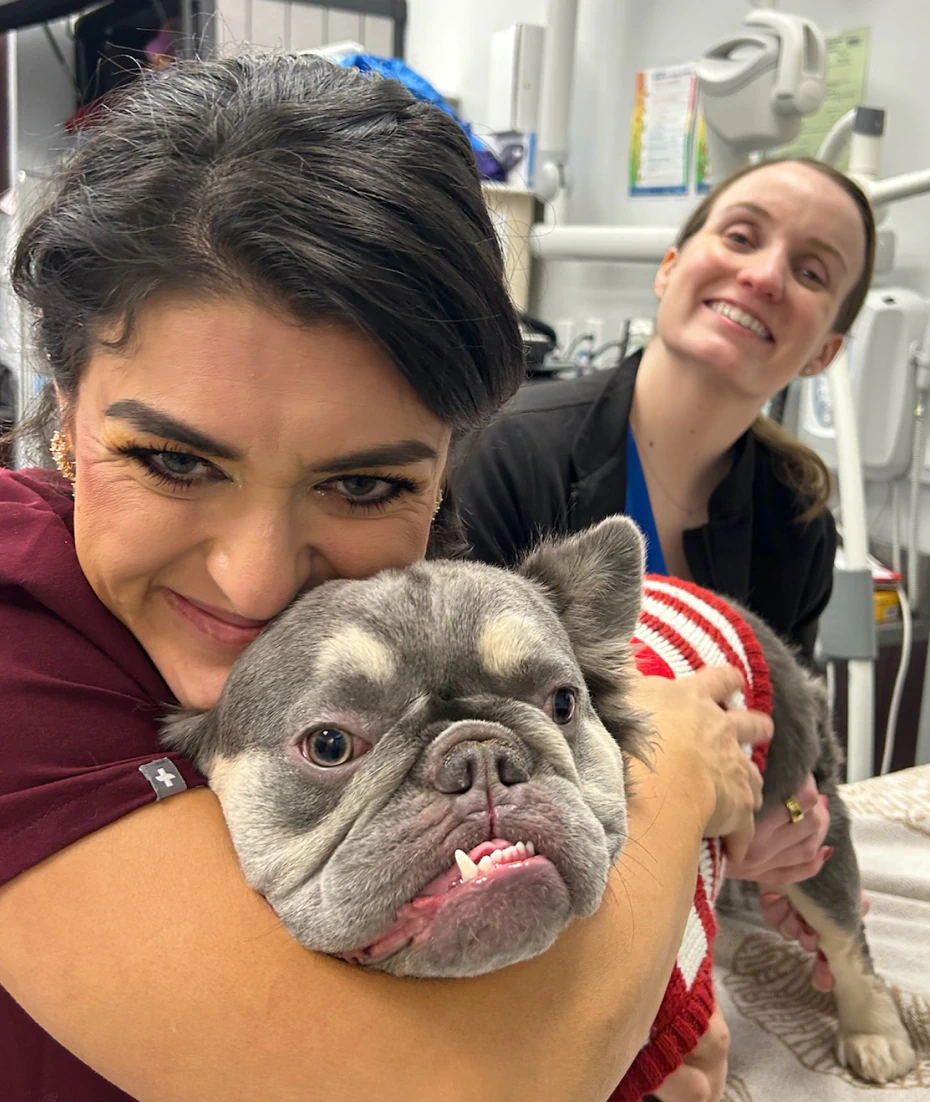 A woman hugs a gray French Bulldog wearing a red and white striped sweater while another woman in black smiles in the background, both appearing to be in a veterinary clinic.